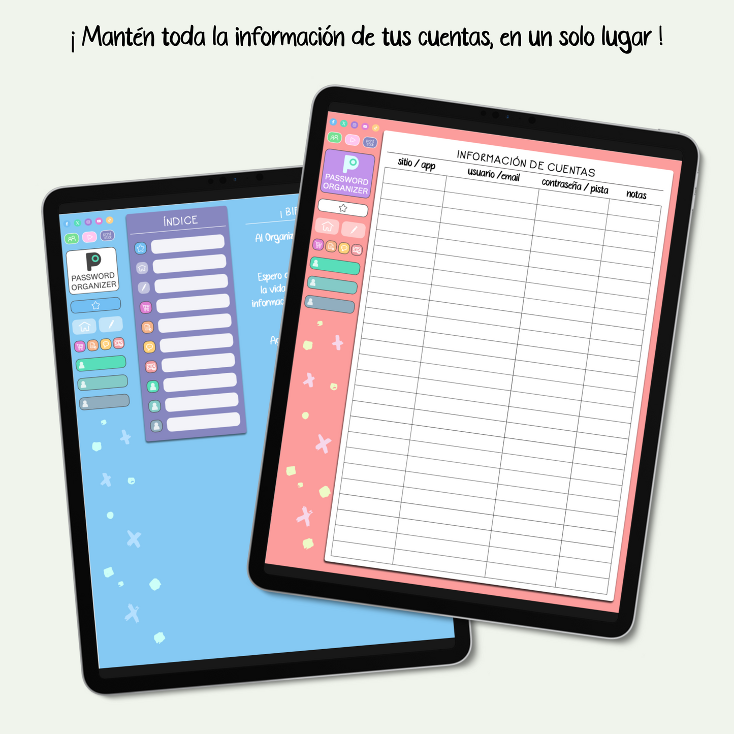 En español: Organizador de Cuentas & Contraseñas