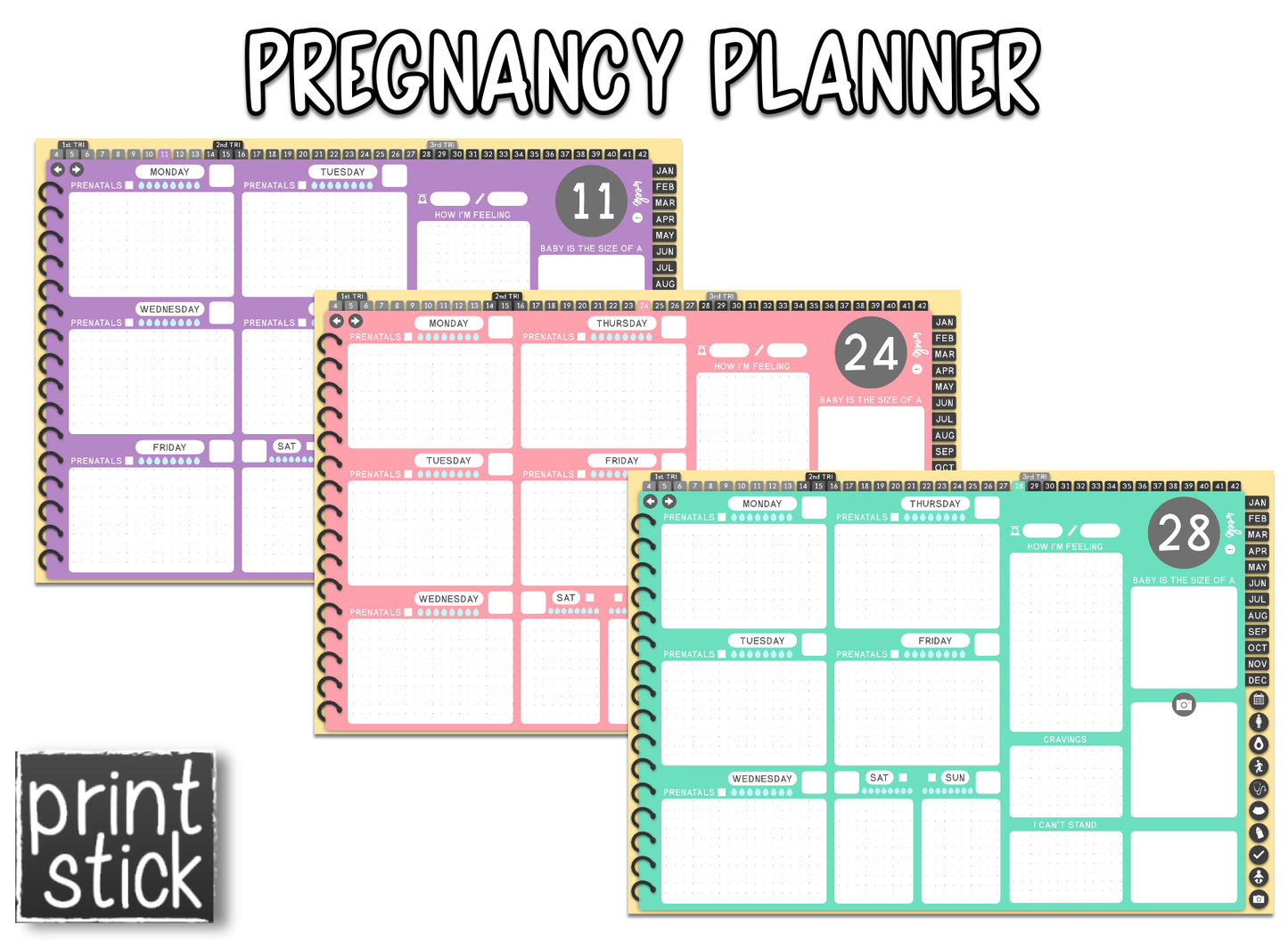 Pregnancy Planner - Undated Digital Planner - Print Stick
