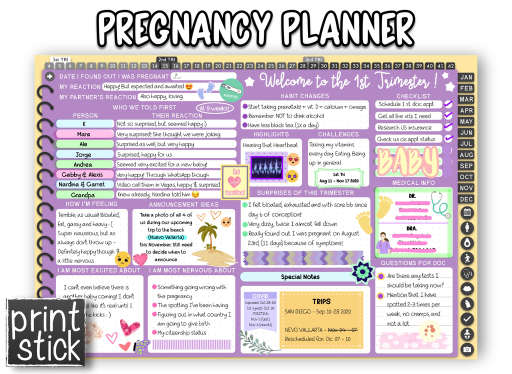 Pregnancy Planner - Undated Digital Planner - Print Stick